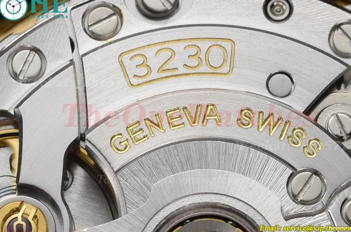 Black Explorer 40mm SS VS3230 224270 SS Dial VSF I 0129